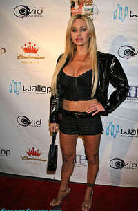 Shauna Sand see through dress
